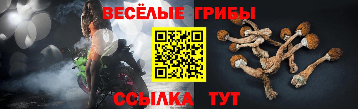 Псилоцибиновые грибы GOLDEN TEACHER  продажа наркотиков  Москва  Вход с VPN 